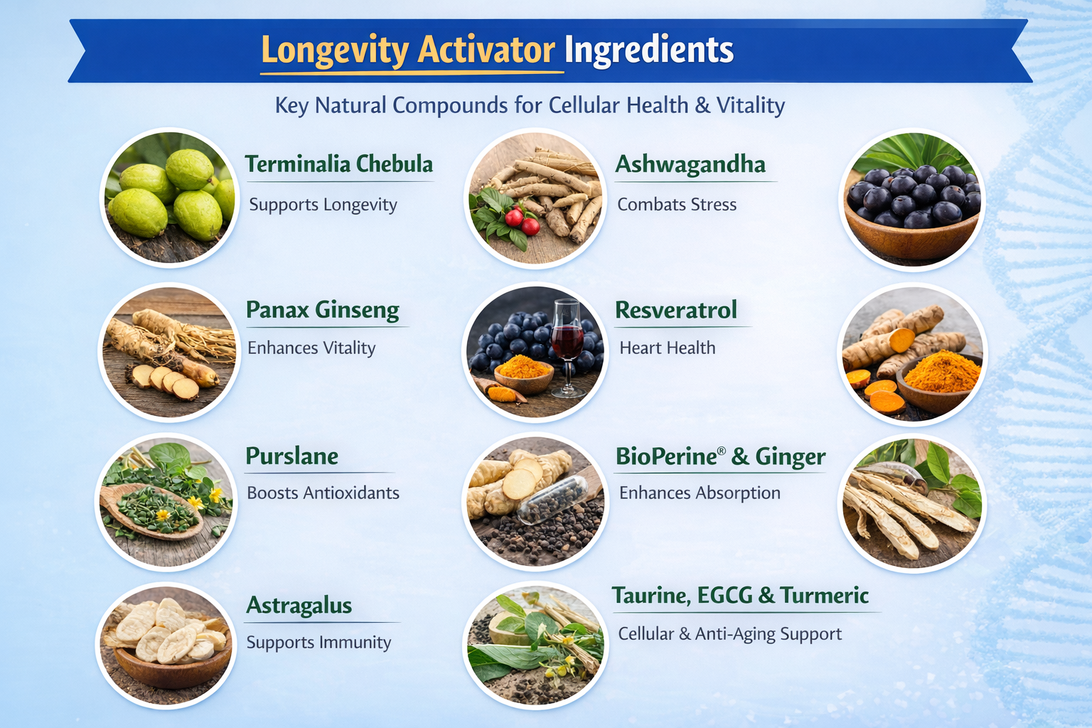 Longevity Activator Ingredients Image